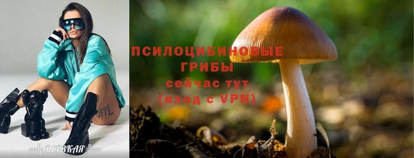 прущий лед Надым