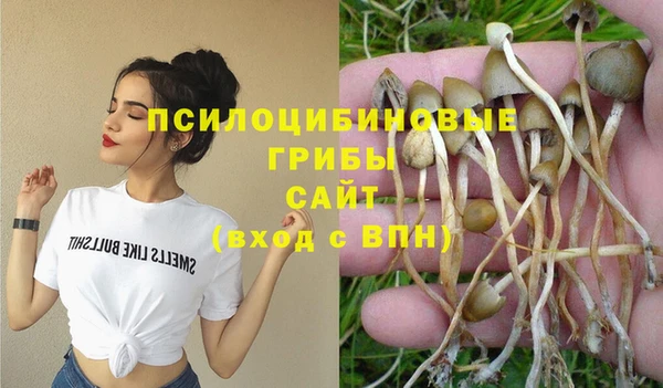 мескалин Болхов