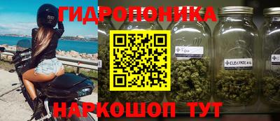 mix Кингисепп